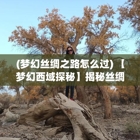 (梦幻丝绸之路怎么过) 【梦幻西域探秘】揭秘丝绸之路：遥远的传说与无限的惊喜